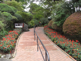 箱根強羅公園